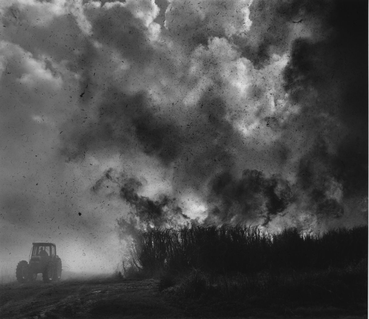 Burning Cane, Louisiana, 1999 Obscura Gallery, Santa Fe, New Mexico