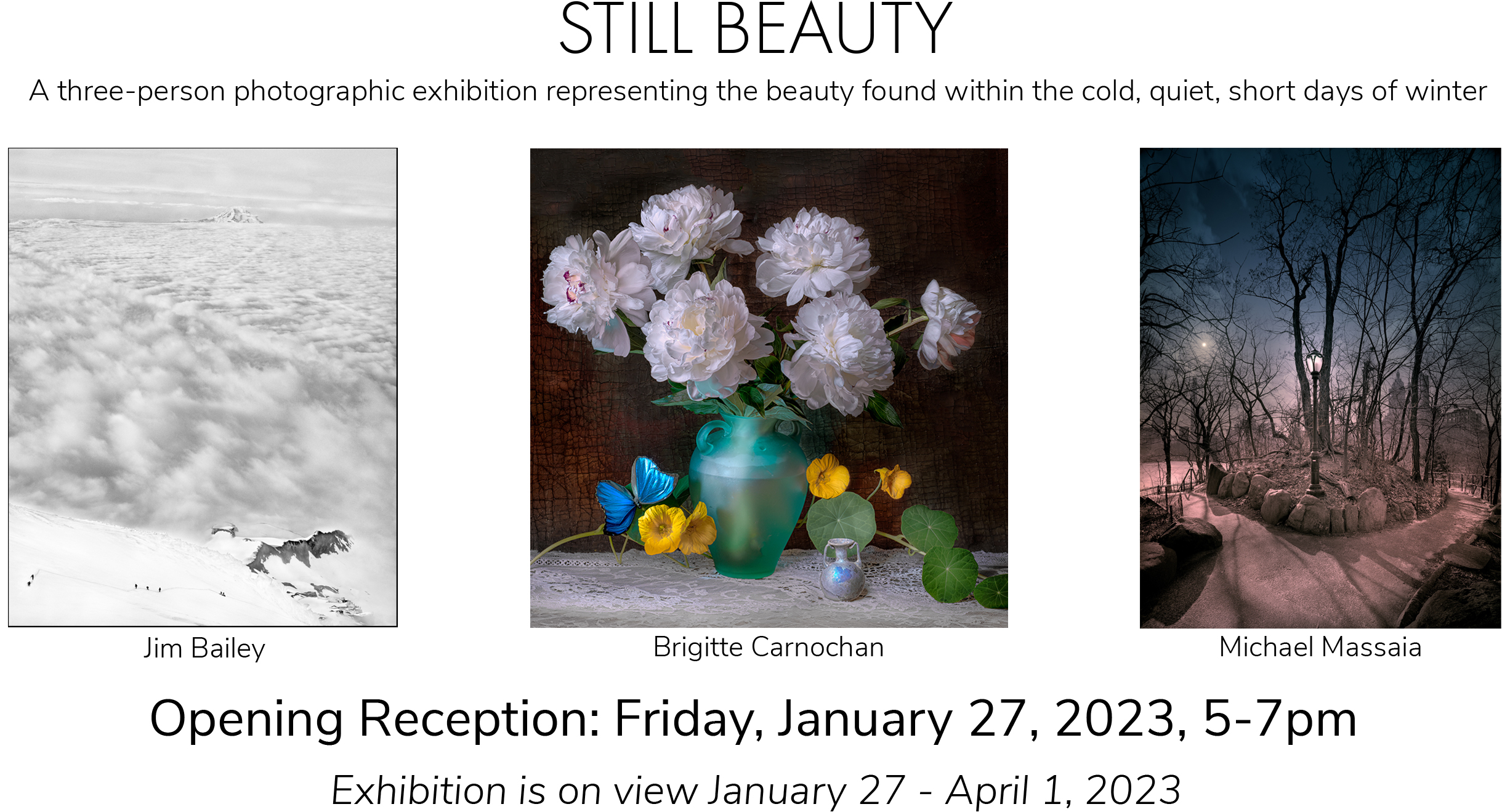 Still Beauty is a three-person photographic exhibition representing the beauty found within the cold, quiet, short days of winter